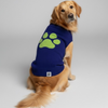 Talking Dog Club Bright Winter High Paw Jumper Sweater for Dogs (Blue) Both-Clothing & Accessories Talking Dog Club Dropship XS