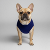 Talking Dog Club Bright Winter High Paw Jumper Sweater for Dogs (Blue) Both-Clothing & Accessories Talking Dog Club Dropship