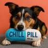 Talking Dog Chill Pill Plush Toy for Dogs (Blue) Dogs-Toys Talking Dog Club Dropship