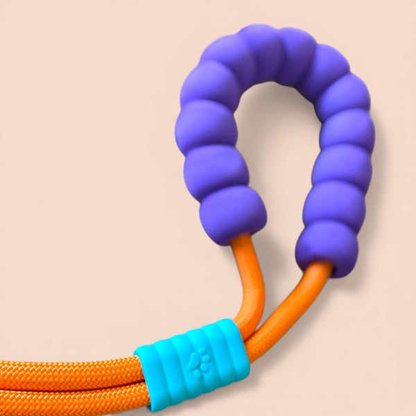 Talking Dog Club Extra Strong Vivid Handle Leash for Dogs (Orange/Purple)