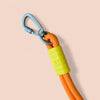 Talking Dog Club Extra Strong Vivid Handle Leash for Dogs (Orange/Purple) Dogs-Collar, Leashes, harnesses Talking Dog Club Dropship