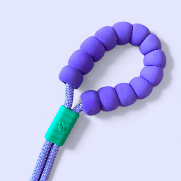 Talking Dog Club Extra Strong Vivid Handle Leash for Dogs (Purple/Purple)