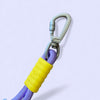 Talking Dog Club Extra Strong Vivid Handle Leash for Dogs (Purple/Purple) Dogs-Collar, Leashes, harnesses Talking Dog Club Dropship