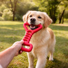 Talking Dog Club Tug Off Natural Rubber Chew Toy for Dogs (Red) Dogs-Toys Talking Dog Club Dropship