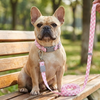 Talking Dog Club Checkmate Leash and Collar Combo (Pink) Dogs-Collar, Leashes, harnesses Talking Dog Club Dropship