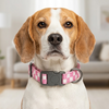 Talking Dog Club Checkmate Leash and Collar Combo (Pink) Dogs-Collar, Leashes, harnesses Talking Dog Club Dropship
