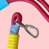 Talking Dog Club Extra Strong Vivid Handle Leash for Dogs (Red/Blue) Dogs-Collar, Leashes, harnesses Talking Dog Club Dropship