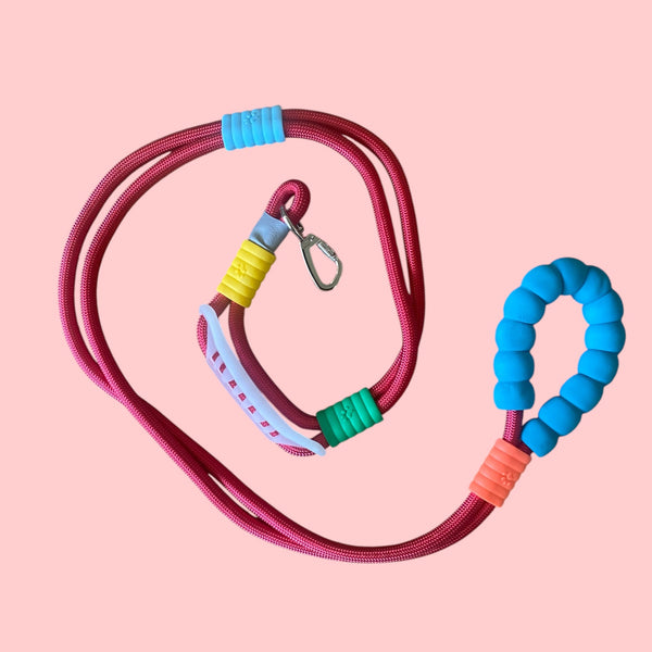 Talking Dog Club Extra Strong Vivid Handle Leash for Dogs (Red/Blue)
