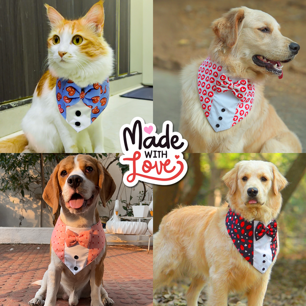 PawsIndia Starry Night Pattern Tuxedo Bandana with Matching Bow for Dogs and Cats