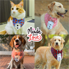 PawsIndia Valentines Edition Hearts with Wings Printed Tuxedo for Dogs and Cats Both-Clothing & Accessories Pawsindia Dropship