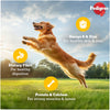 Pedigree Chicken and Liver Chunks in Gravy Adult Dog Wet Food (130g) Dogs-Wet Food Pedigree