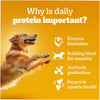Pedigree Chicken and Liver Chunks in Gravy Adult Dog Wet Food (130g) Dogs-Wet Food Pedigree