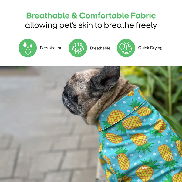 15buttons Pineapple Polka Shirt for Dogs