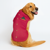 Pawsindia Traditional Royal Brocade Kurta for Dogs (Pink) Dogs-Clothing & Accessories Pawsindia Dropship M