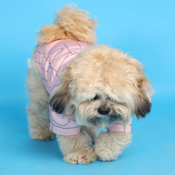 15buttons Satin Shirt for Dogs (Pink)