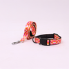 Skatrs Pop Groove Leash for Dogs and Cats Both-Collar, Leashes, harnesses Skatrs