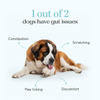 Hope Vegan Pre+ Probiotics Supplement for Dogs Dogs-Health & Wellness Hope