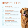 Hope Vegan Pre+ Probiotics Supplement for Dogs Dogs-Health & Wellness Hope