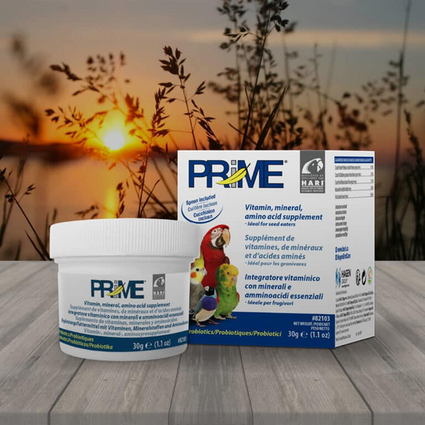 Hari Prime Vitamin Supplement