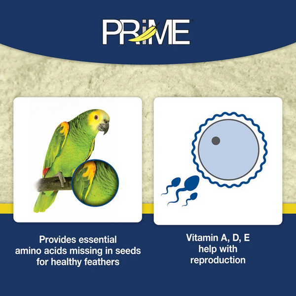 Hari Prime Vitamin Supplement