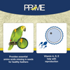 Hari Prime Vitamin Supplement Birds Hari