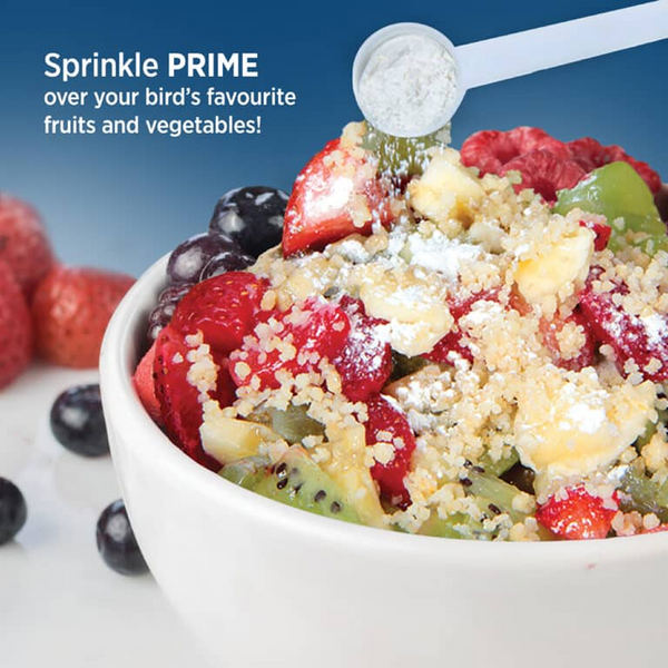 Hari Prime Vitamin Supplement