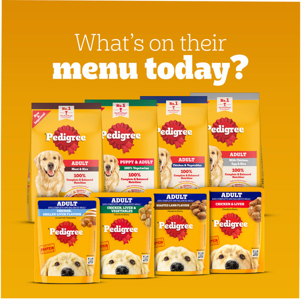 Pedigree Chicken and Liver Chunks in Gravy Adult Dog Wet Food (130g)