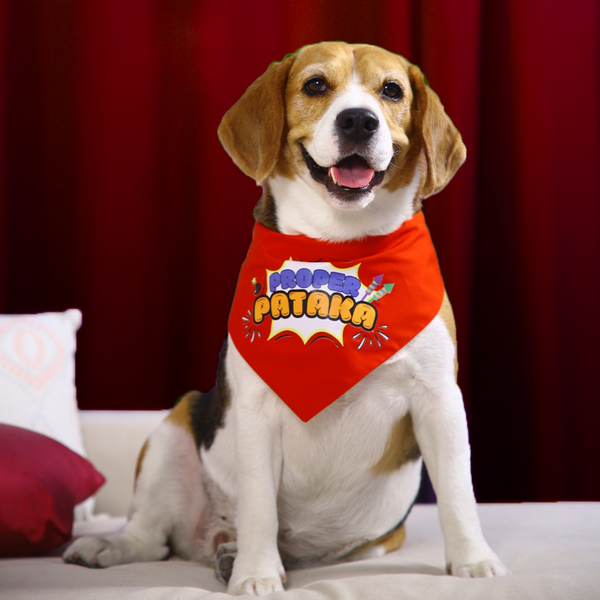 Dogobow Proper Pataka Bandana for Dogs (Red/White)