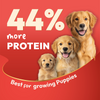 DatGud Chicken & Brown Rice Puppy Dog Dry Food (Buy 1 Get 1 Free) Dogs- Dry Food DatGud