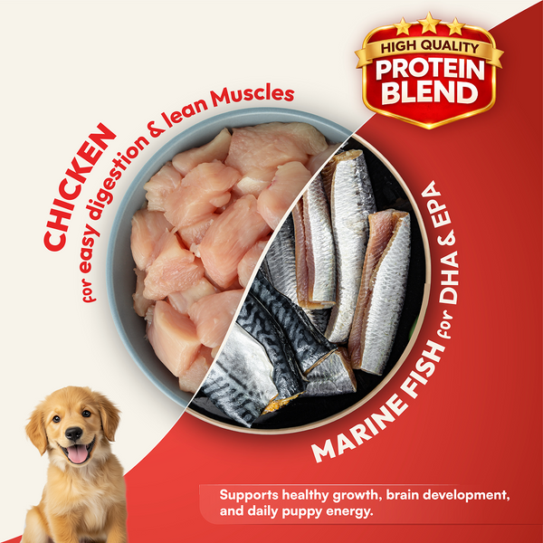 DatGud Chicken & Brown Rice Puppy Dog Dry Food