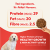DatGud Chicken & Brown Rice Puppy Dog Dry Food (Buy 1 Get 1 Free) Dogs- Dry Food DatGud