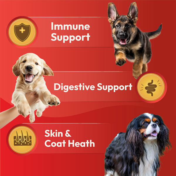 DatGud Chicken & Brown Rice Puppy Dog Dry Food