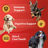 DatGud Chicken & Brown Rice Puppy Dog Dry Food (Buy 1 Get 1 Free) Dogs- Dry Food DatGud