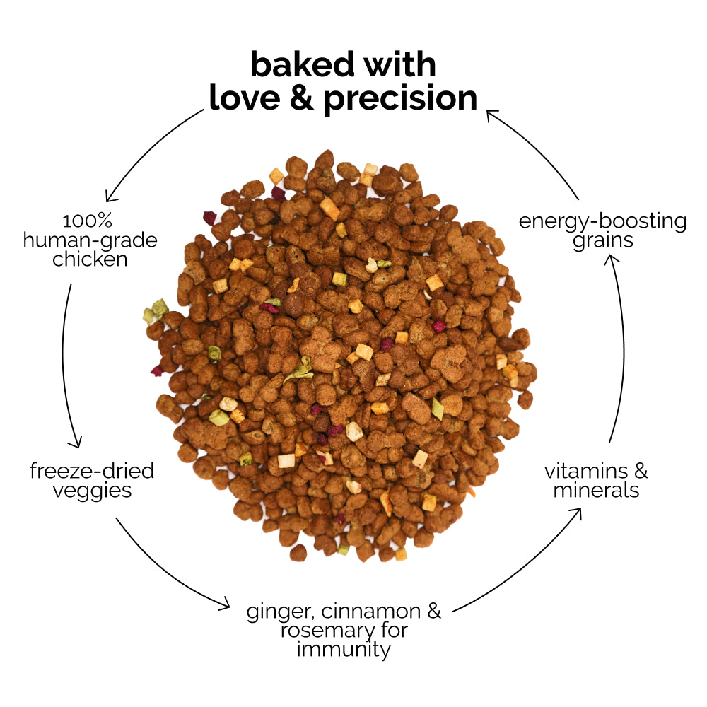 Henlo Chicken & Vegetable Baked Puppy Dog Dry Food | 100% Human Grade Ingredients