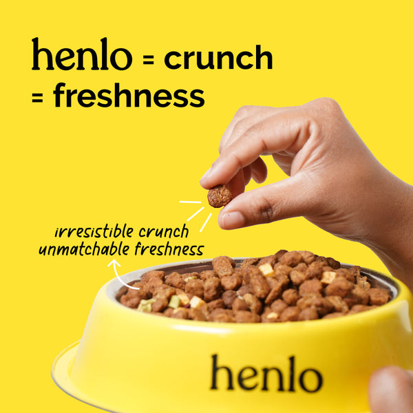 Henlo Chicken & Vegetable Baked Dry Food and Chicken Jerky treats for Dogs Combo