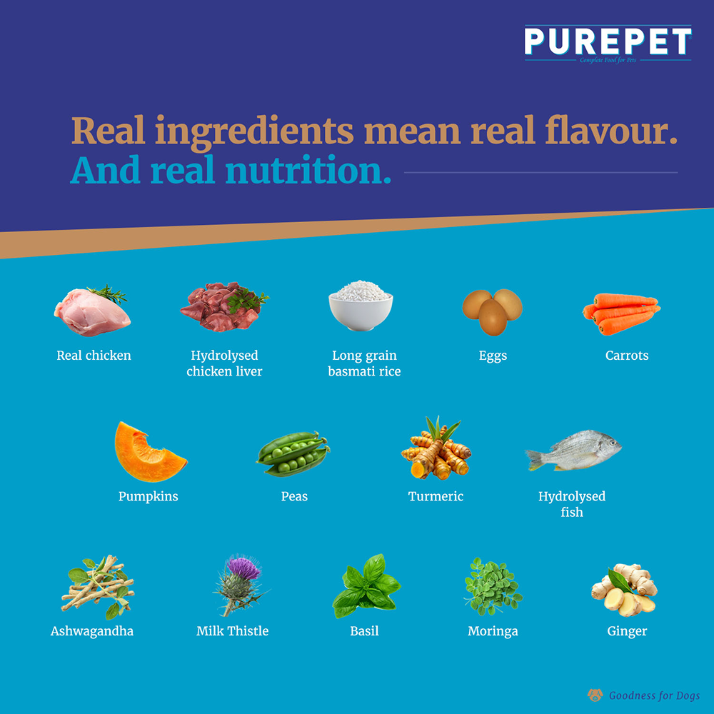 Purepet Chicken and Pumpkin Biryani Fresh Food for Dogs Dogs-Wet Food Purepet