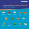 Purepet Chicken and Pumpkin Biryani Fresh Food for Dogs Dogs-Wet Food Purepet