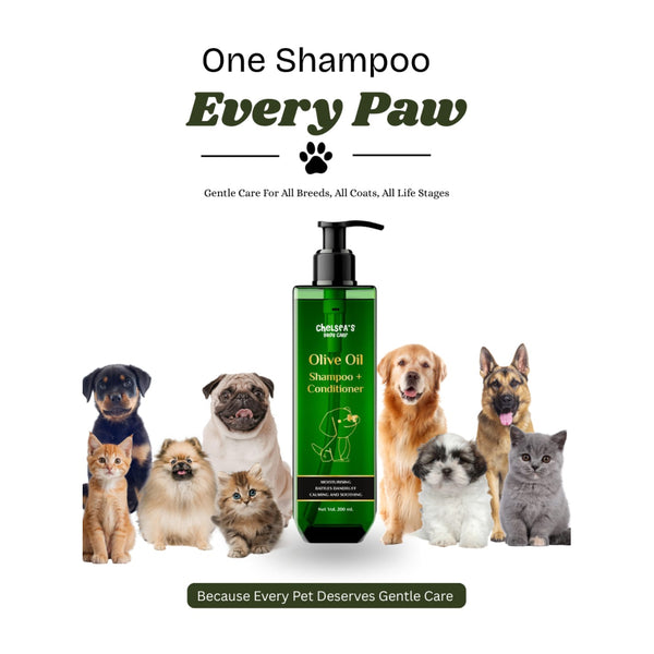 Chelsea’s Body Care Olive Oil Shampoo + Conditioner for Dogs & Cats