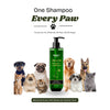 Chelsea’s Body Care Olive Oil Shampoo + Conditioner for Dogs & Cats Both-Grooming Supplies Dr. Chelsea&