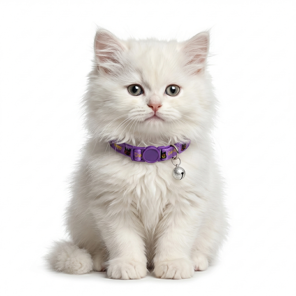 Basil Printed Collar for Cats & Puppies (Purple) Both-Collar, Leashes, harnesses Basil