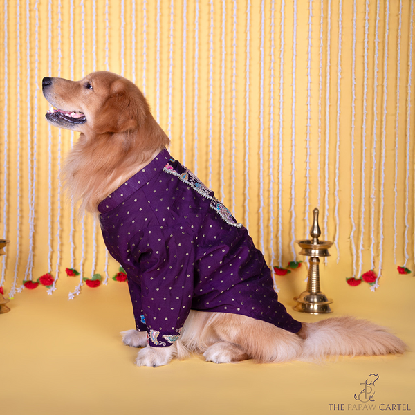 The Papaw Cartel  Indian Motif Embroidered Kurta for Dogs & Cats (Purple Paisley)
