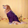 The Papaw Cartel Indian Motif Embroidered Kurta for Dogs & Cats (Purple Paisley) Both-Clothing & Accessories The Papaw Cartel Dropship