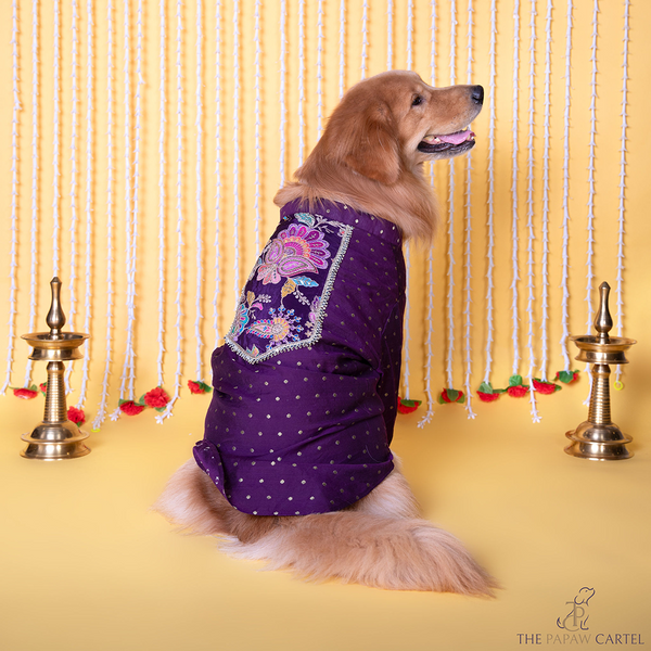 The Papaw Cartel  Indian Motif Embroidered Kurta for Dogs & Cats (Purple Paisley)