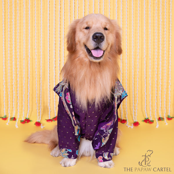 The Papaw Cartel Embroidered Motif Jacket Style Koti Kurta for Dogs & Cats (Purple Paisley)