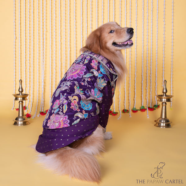 The Papaw Cartel Embroidered Motif Jacket Style Koti Kurta for Dogs & Cats (Purple Paisley)
