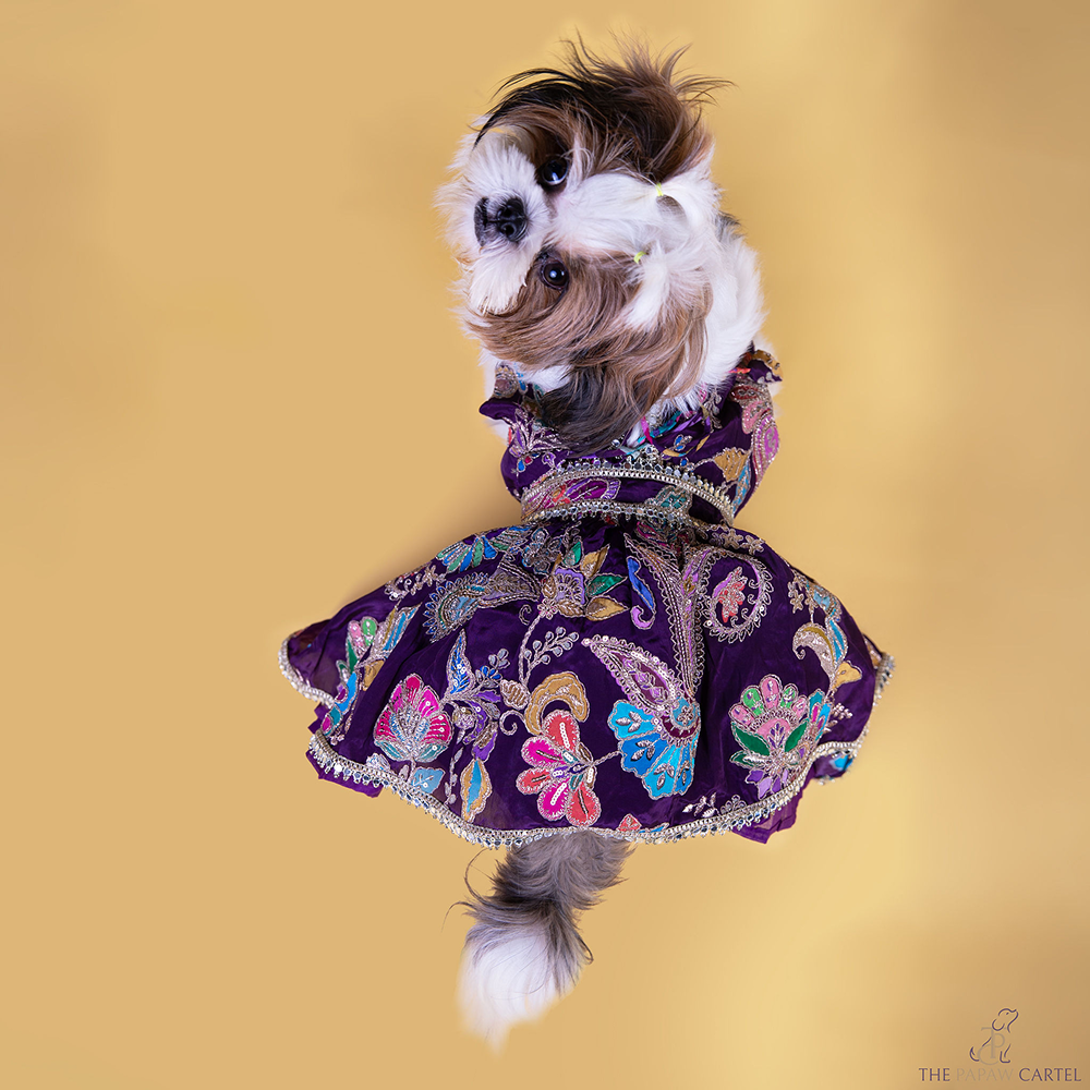 The Papaw Cartel Motif Embroidered Lehenga Choli for Dogs & Cats (Purple Paisley) Both-Clothing & Accessories The Papaw Cartel Dropship