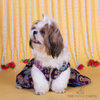 The Papaw Cartel Motif Embroidered Lehenga Choli for Dogs & Cats (Purple Paisley) Both-Clothing & Accessories The Papaw Cartel Dropship