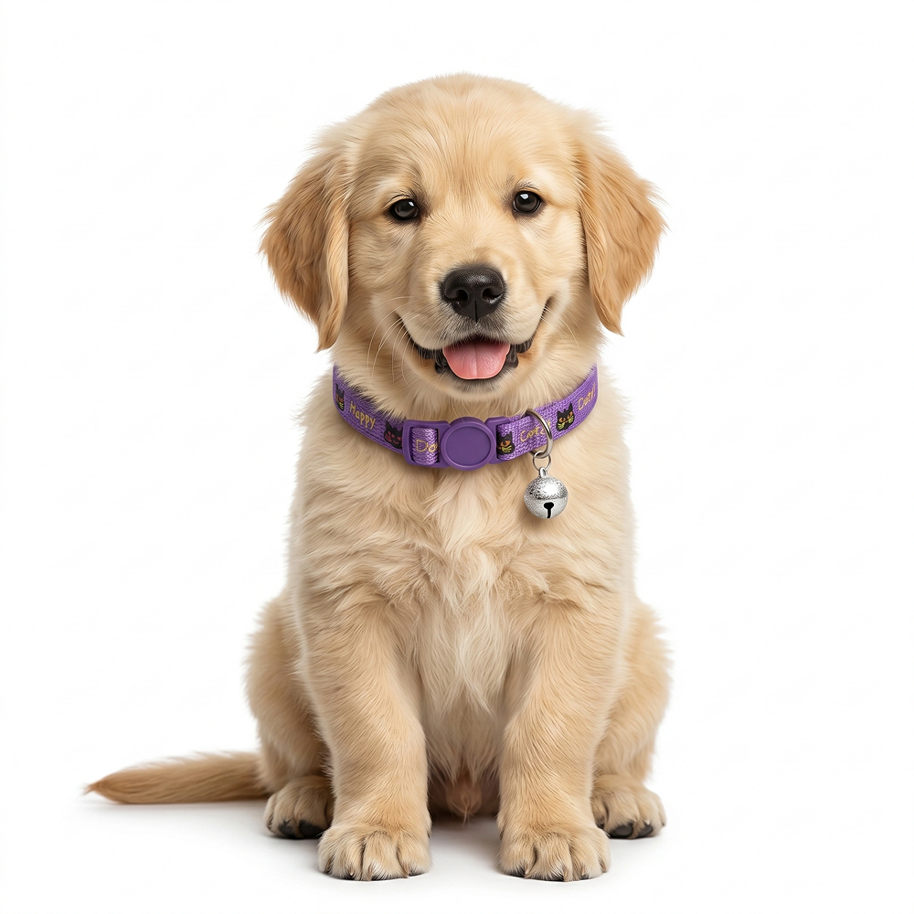Basil Printed Collar for Cats & Puppies (Purple) Both-Collar, Leashes, harnesses Basil