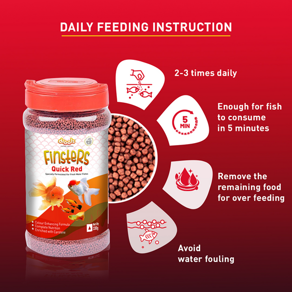 Drools Finsters Quick Red Fish Food