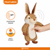 Barkbutler x Fofos Wildlife Rabbit Plush Toy for Dogs Dogs-Toys Barkbutler